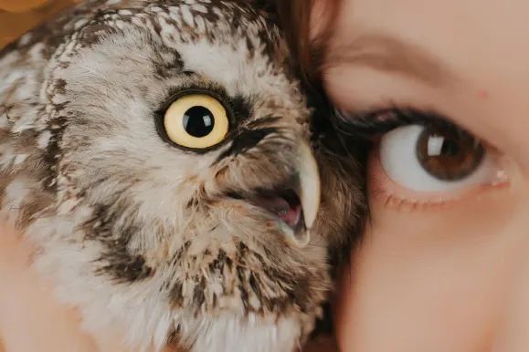 PlayFortuna Casino Ënnerstëtzung